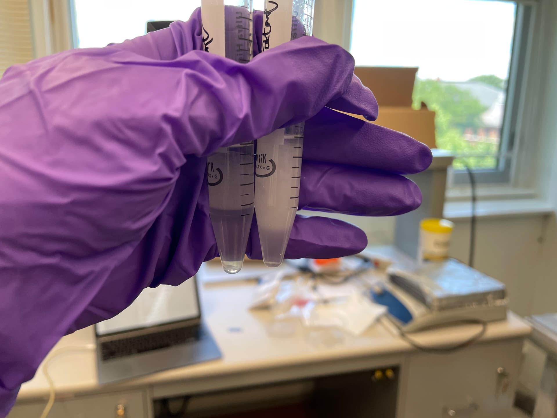 One of the Emulsion Samples Created in the Lab